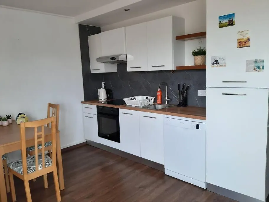 Beautiful Apartment At Geneva Airport フィルネー・ボルテール