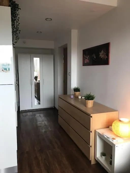 Beautiful Apartment At Geneva Airport フィルネー・ボルテール 0*,