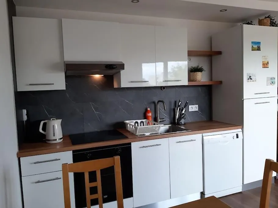 Beautiful Apartment At Geneva Airport フィルネー・ボルテール フランス